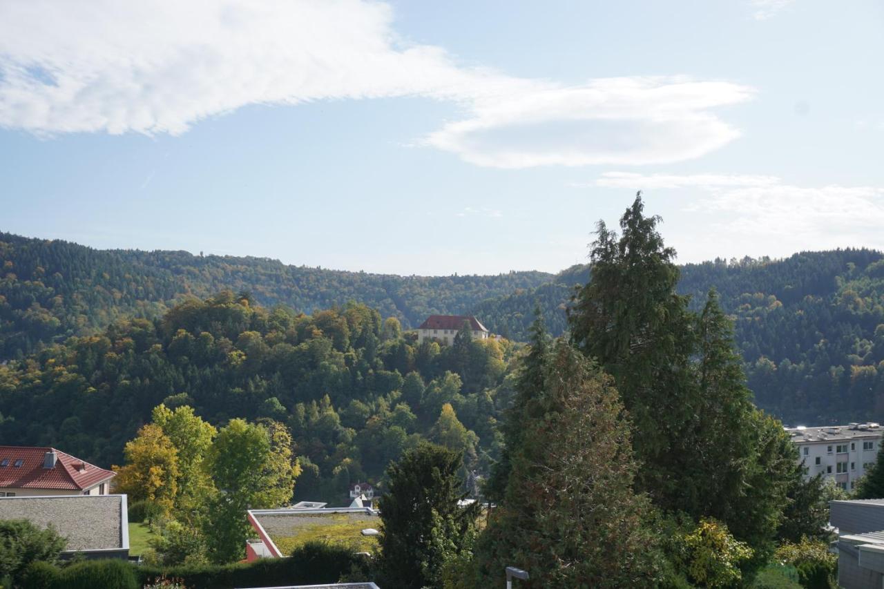 Schauinsland Neuenburg (Enz)